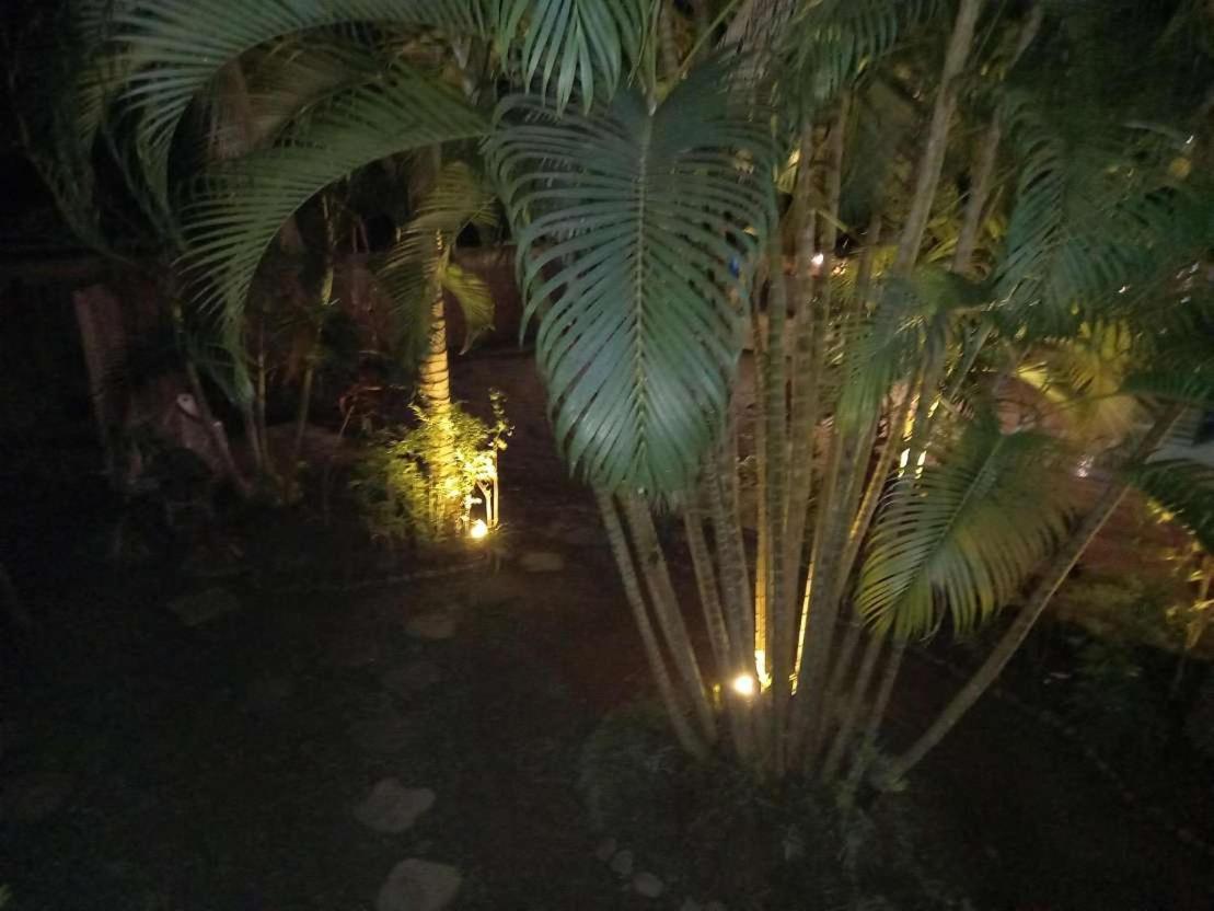 Oasis Palms Hotel Nadi Dış mekan fotoğraf